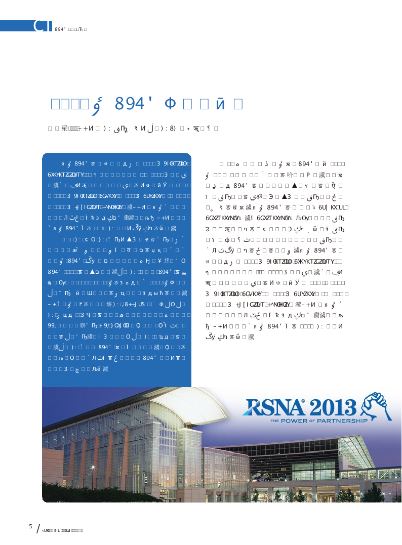 2013年<i>RSNA</i>之论文分析
