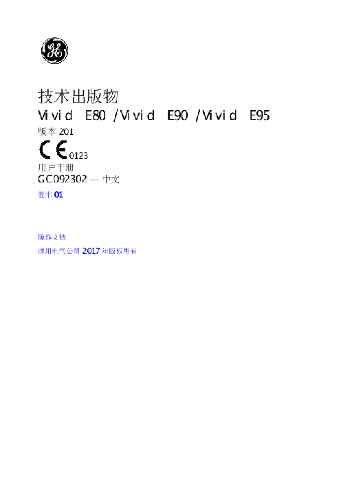 Vivid E80/E90/E95 User Manual - Chinese